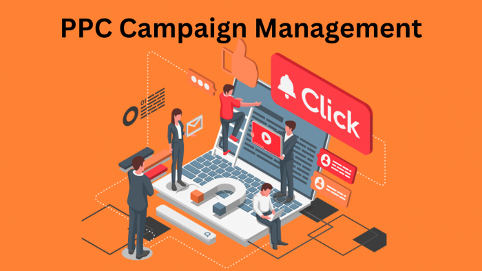Learn How To Do PPC Campaign Management With SkillTime